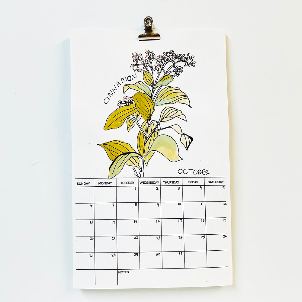 A HALLUCINOGENIC PLANT A MONTH FOR 2024 - VOLUME V
