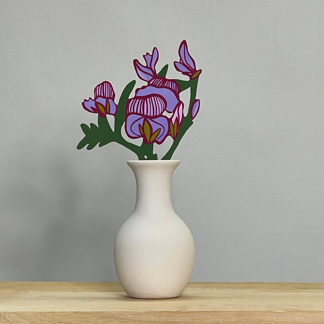 FOREVER FLOWER - SWEET PEA