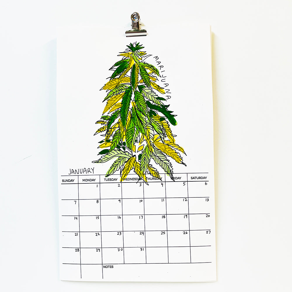 A HALLUCINOGENIC PLANT A MONTH FOR 2024 - VOLUME V