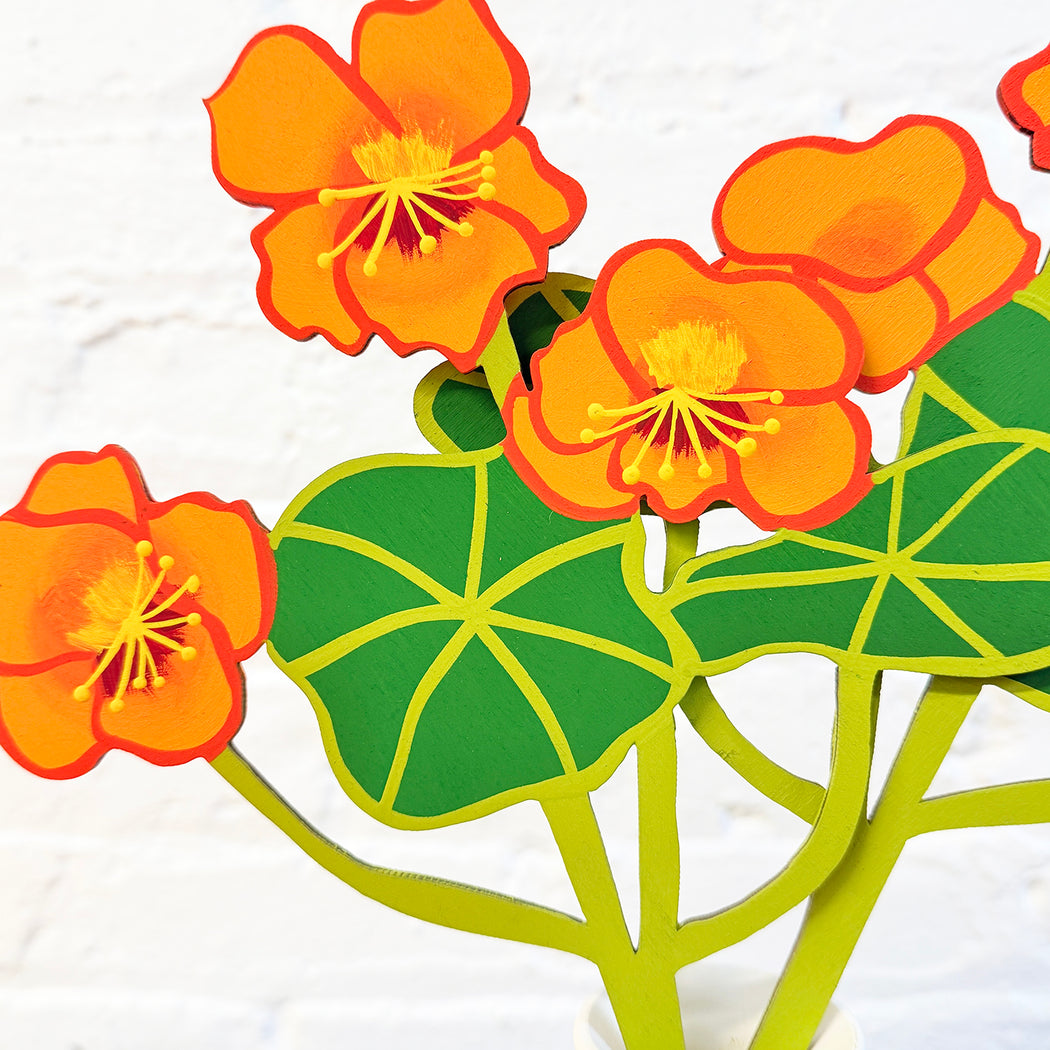 FOREVER FLOWER - NASTURTIUM