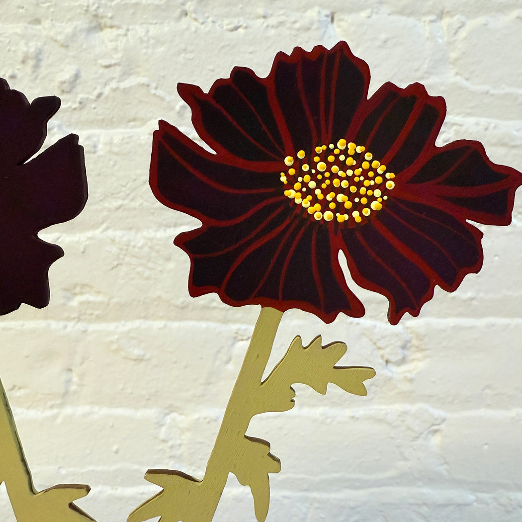 FOREVER FLOWER - CHOCOLATE COSMOS