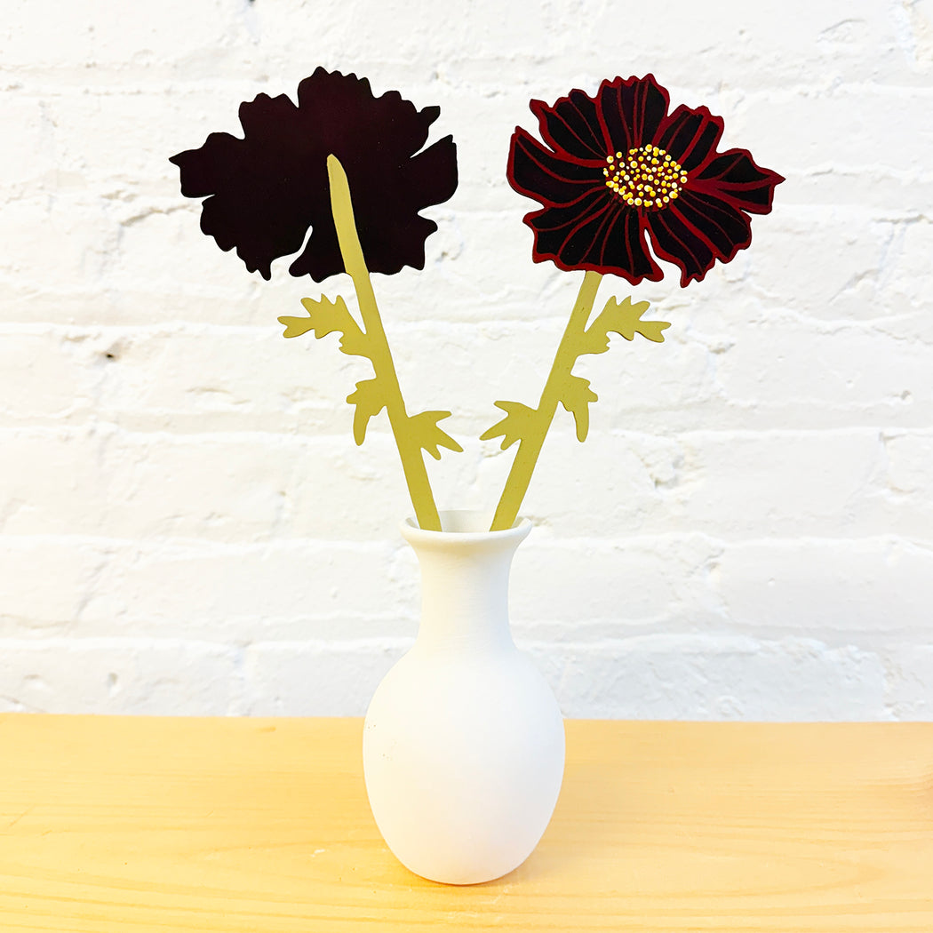 FOREVER FLOWER - CHOCOLATE COSMOS