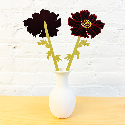 FOREVER FLOWER - CHOCOLATE COSMOS