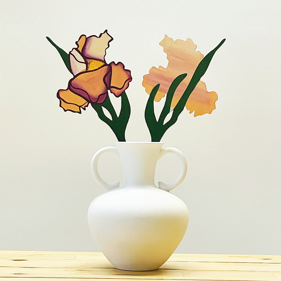 FOREVER FLOWER - BEARDED IRIS