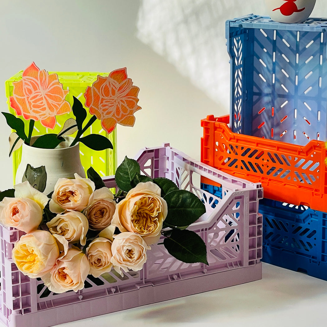 FOREVER FLOWER - GARDEN ROSE