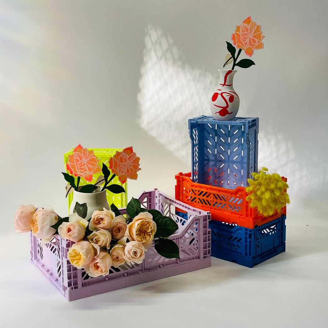 FOREVER FLOWER - GARDEN ROSE