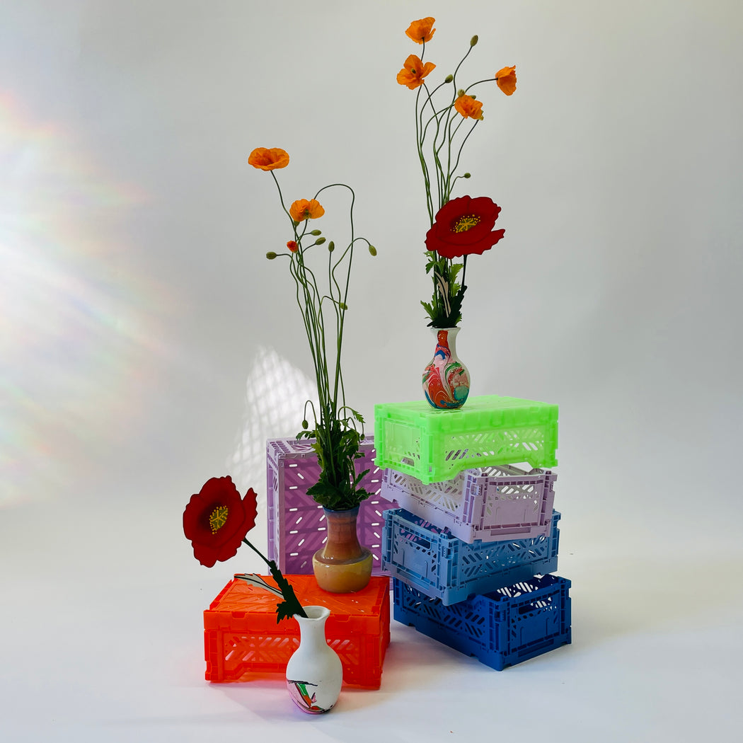 FOREVER FLOWER - POPPY