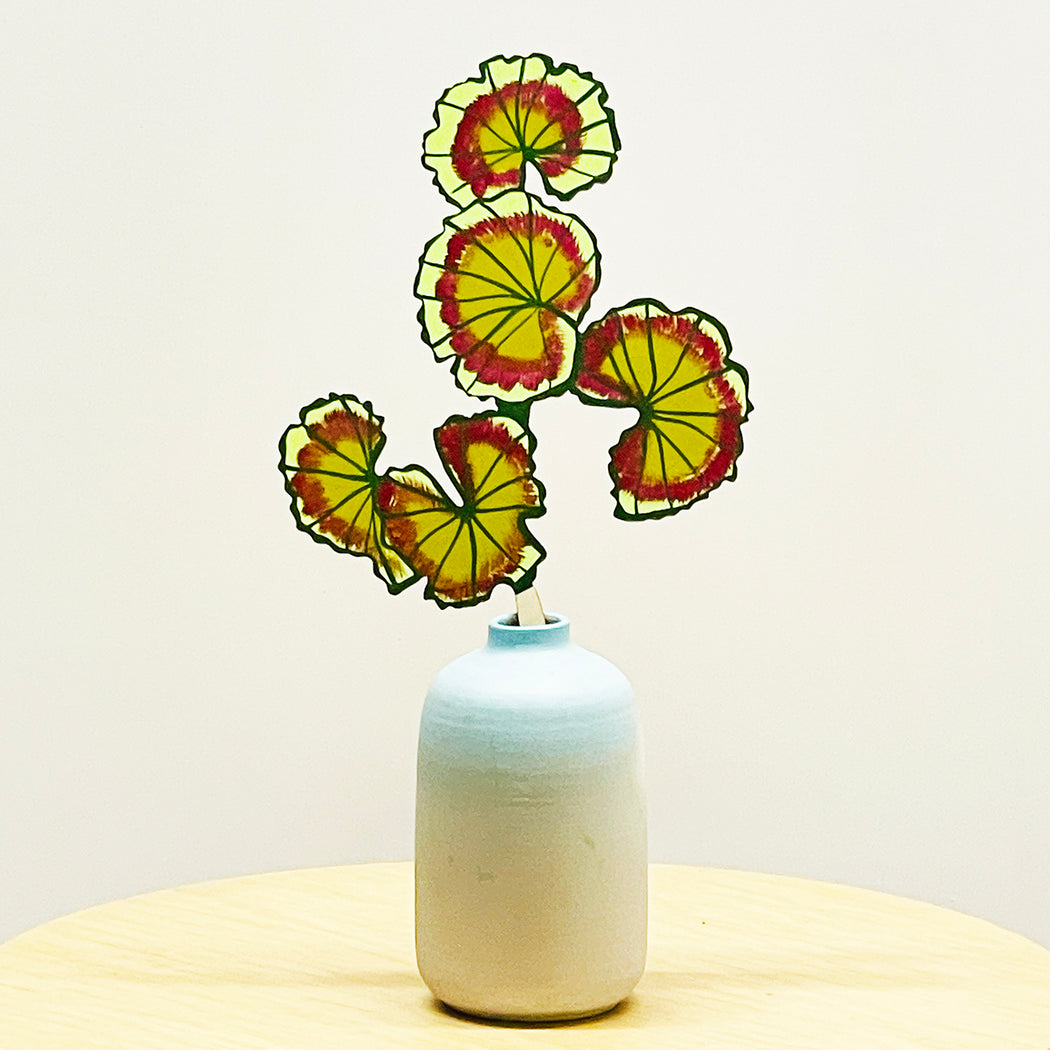 FOREVER FLOWER - GERANIUM LEAF