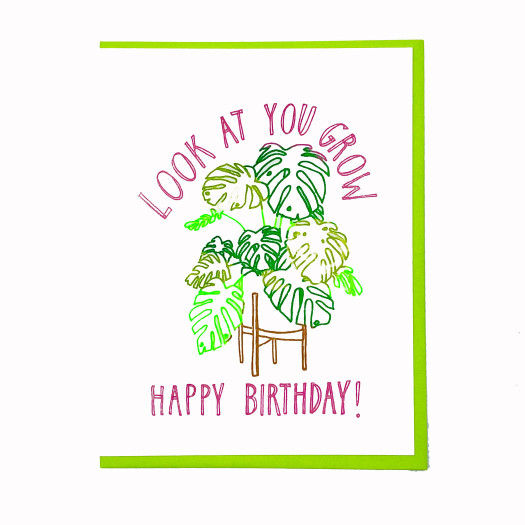 LOOK AT YOU GROW BIRTHDAY CARD