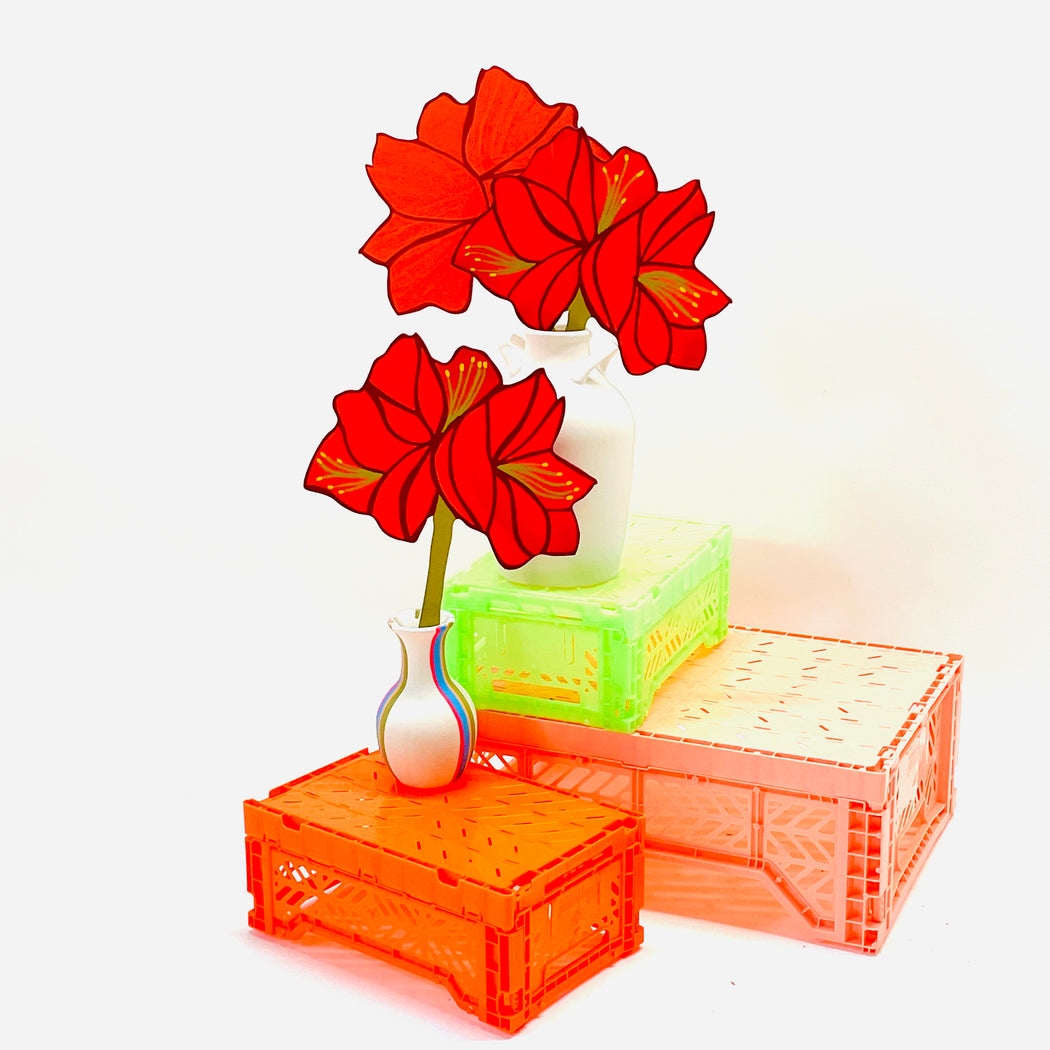 FOREVER FLOWER - AMARYLLIS