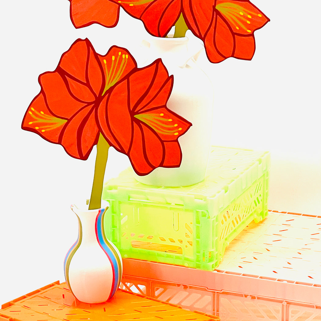 FOREVER FLOWER - AMARYLLIS