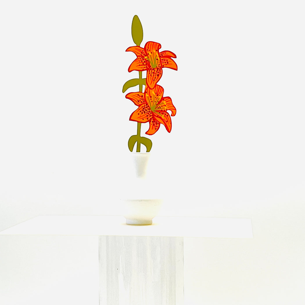 FOREVER FLOWER - ASIATIC LILY