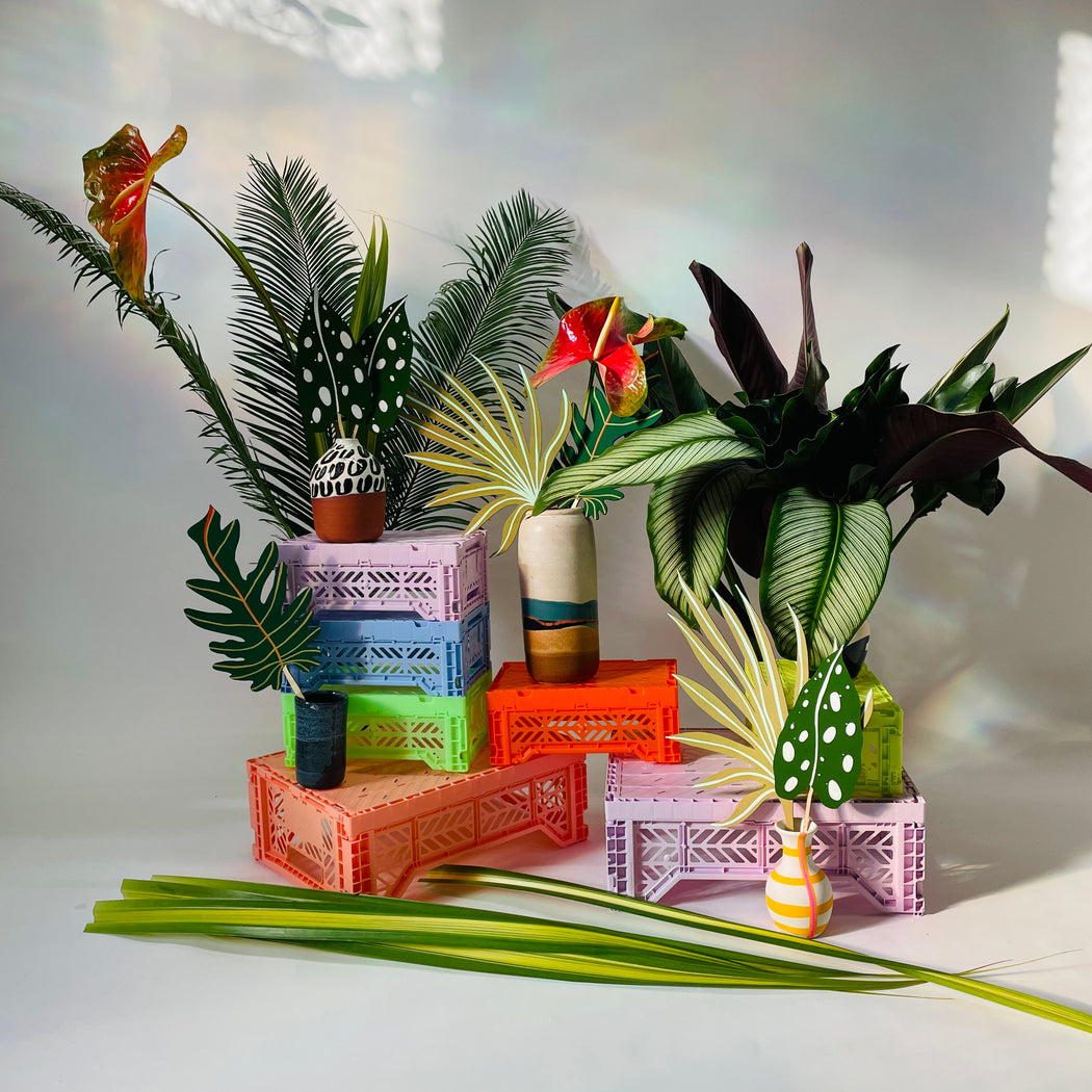FOREVER FLOWER - ARCANA PALM
