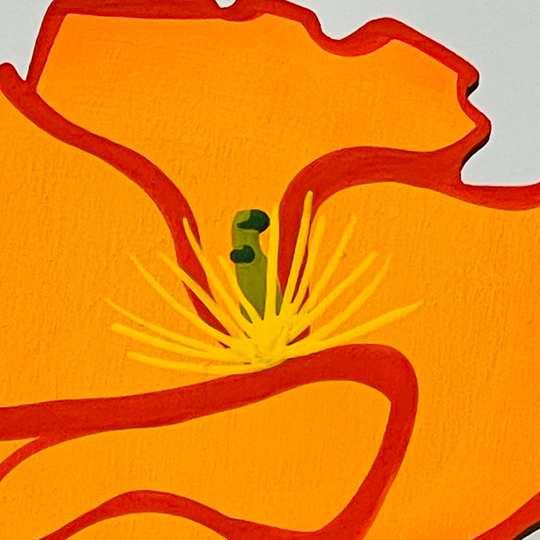 FOREVER FLOWER - CALIFORNIA POPPY