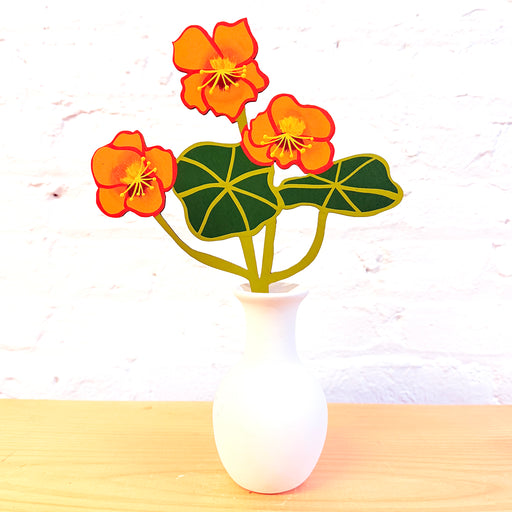 FOREVER FLOWER - NASTURTIUM