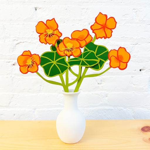 FOREVER FLOWER - NASTURTIUM